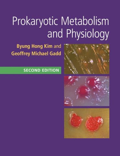 bokomslag Prokaryotic Metabolism and Physiology