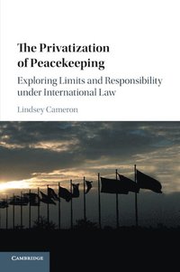 bokomslag The Privatization of Peacekeeping