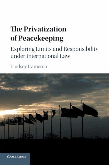 Lindsey Cameron - The Privatization of Peacekeeping, Häftad