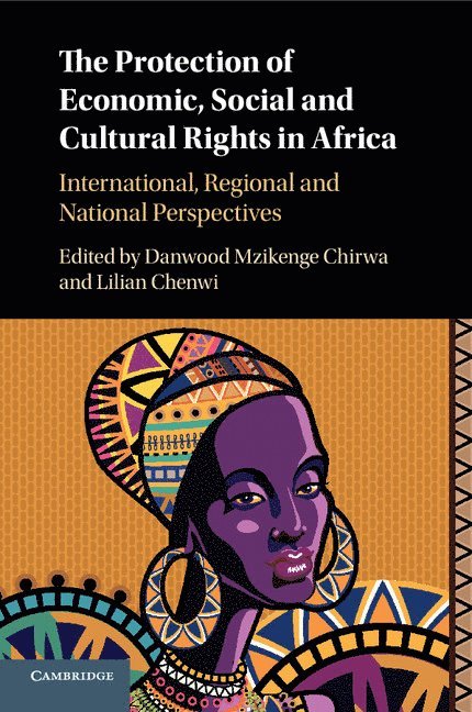 The Protection of Economic, Social and Cultural Rights in Africa 1