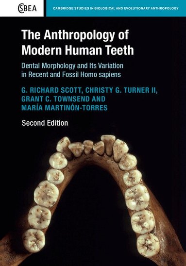 G. Richard Scott, Christy G. Turner II, Grant C. Townsend, María Martinón-Torres - The Anthropology of Modern Human Teeth, Häftad