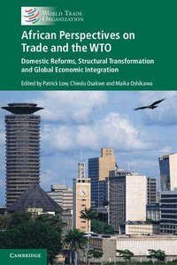 bokomslag African Perspectives on Trade and the WTO