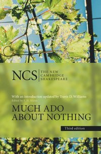 bokomslag Much Ado about Nothing