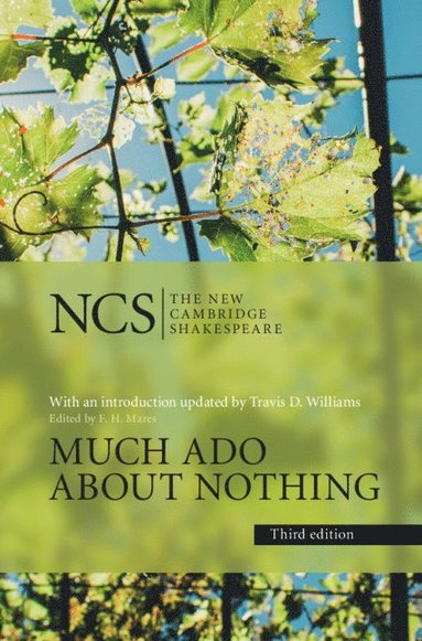 bokomslag Much Ado about Nothing