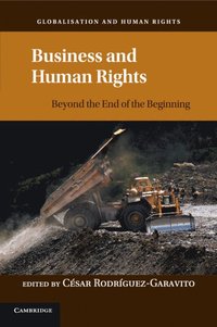 bokomslag Business and Human Rights