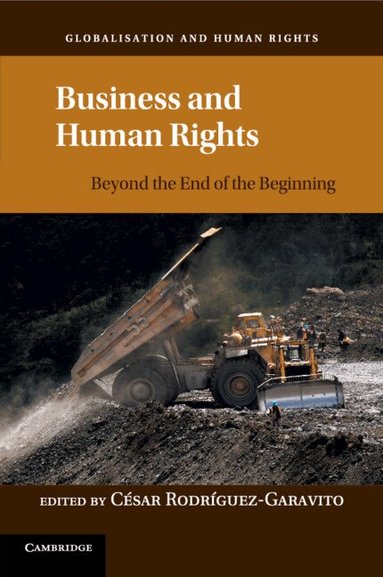 César Rodriguez-Garavito - Business and Human Rights, Häftad