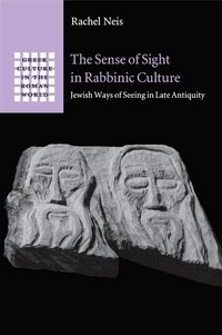 bokomslag The Sense of Sight in Rabbinic Culture