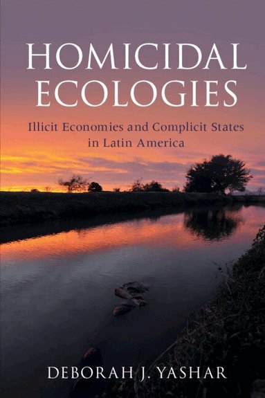 Deborah J. Yashar - Homicidal Ecologies, Häftad