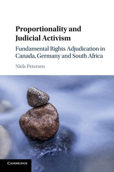 Niels Petersen - Proportionality and Judicial Activism, Häftad