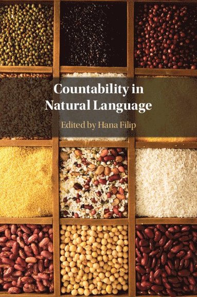 bokomslag Countability in Natural Language