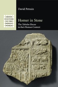 bokomslag Homer in Stone