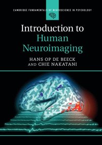 bokomslag Introduction to Human Neuroimaging
