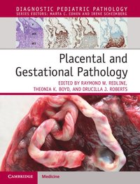 bokomslag Placental and Gestational Pathology Hardback with Online Resource