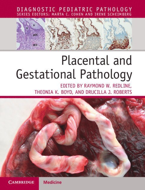 Placental and Gestational Pathology Hardback with Online Resource 1