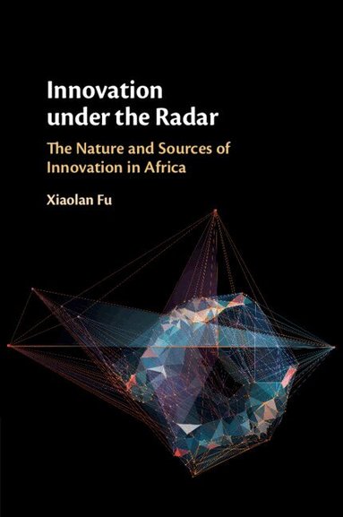 Xiaolan Fu - Innovation under the Radar, Häftad