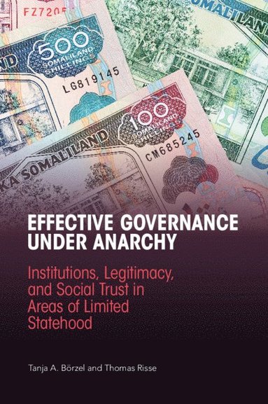 bokomslag Effective Governance Under Anarchy