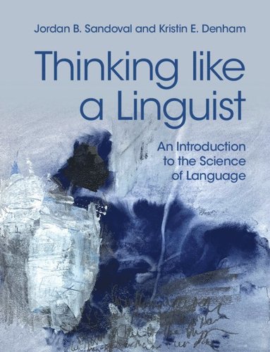 bokomslag Thinking like a Linguist