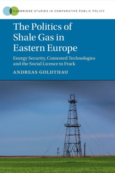 bokomslag The Politics of Shale Gas in Eastern Europe