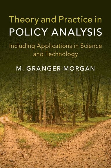 bokomslag Theory and Practice in Policy Analysis