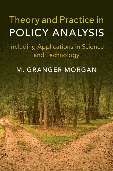 Theory and Practice in Policy Analysis 1