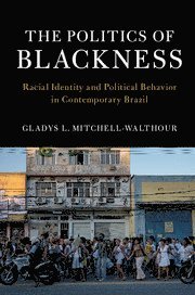 bokomslag The Politics of Blackness