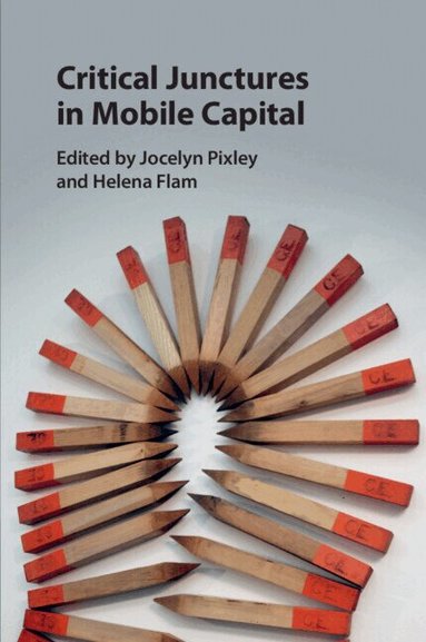 Jocelyn Pixley, Helena Flam - Critical Junctures in Mobile Capital, Häftad
