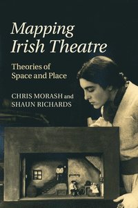 bokomslag Mapping Irish Theatre