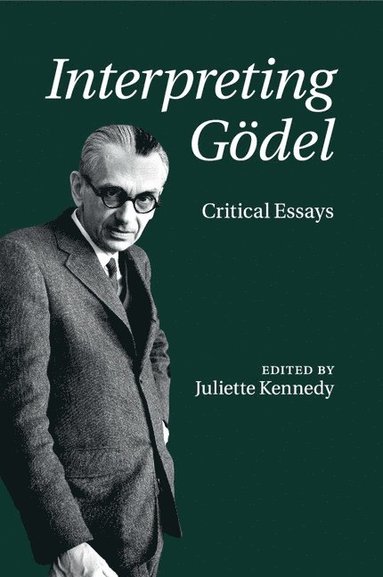 bokomslag Interpreting Gödel