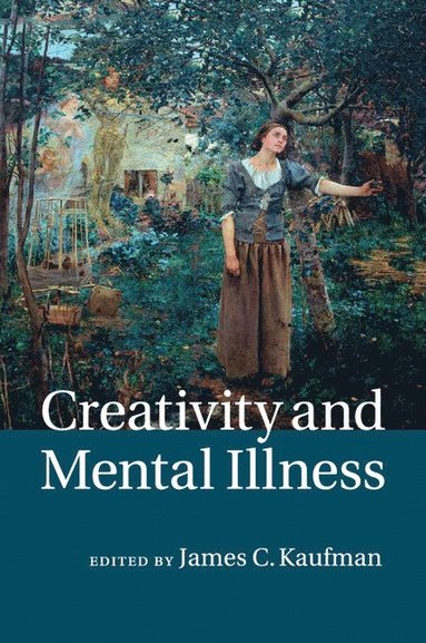 bokomslag Creativity and Mental Illness