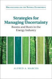 bokomslag Strategies for Managing Uncertainty