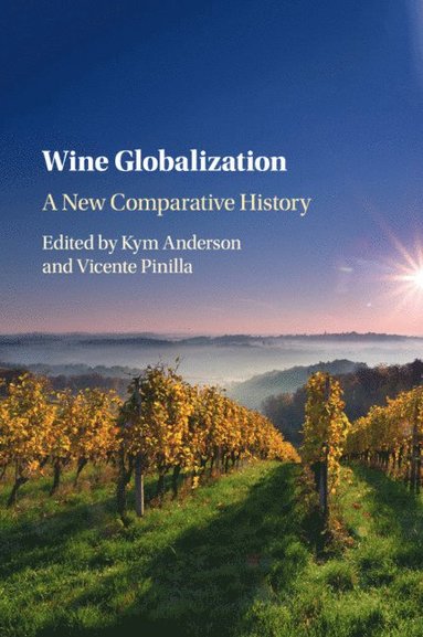 bokomslag Wine Globalization