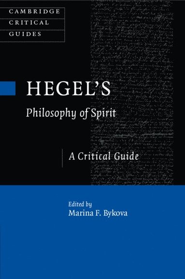 bokomslag Hegel's Philosophy of Spirit