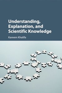 bokomslag Understanding, Explanation, and Scientific Knowledge