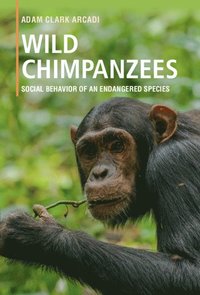 bokomslag Wild Chimpanzees