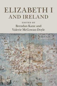 bokomslag Elizabeth I and Ireland