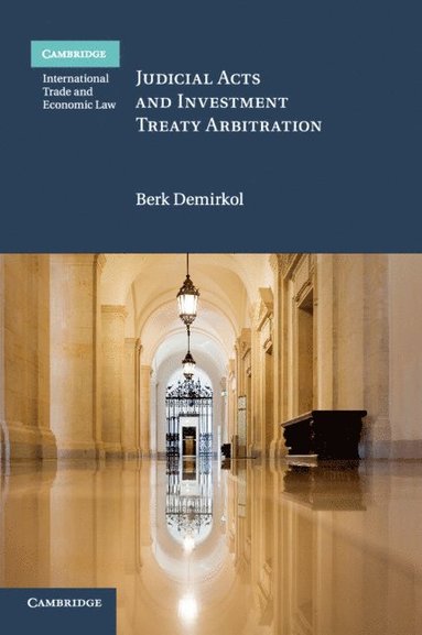 bokomslag Judicial Acts and Investment Treaty Arbitration