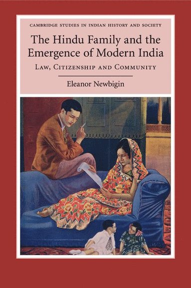 bokomslag The Hindu Family and the Emergence of Modern India