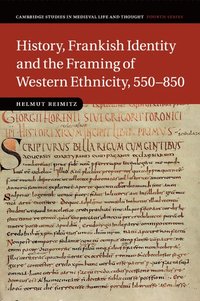 bokomslag History, Frankish Identity and the Framing of Western Ethnicity, 550-850