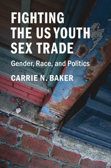 bokomslag Fighting the US Youth Sex Trade