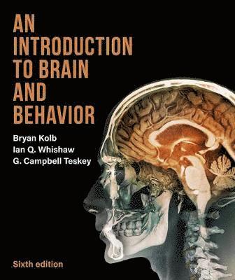 bokomslag An Introduction to Brain and Behavior