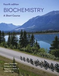 bokomslag Biochemistry: A Short Course