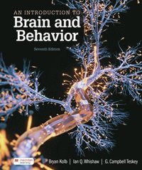 bokomslag Introduction to Brain and Behavior