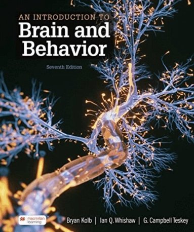 Bryan Kolb, Whishaw Ian, Teskey G. - Introduction to Brain and Behavior, Häftad