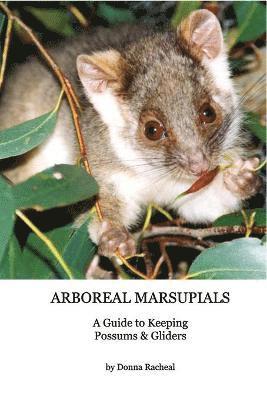 bokomslag Arboreal Marsupials - Caring for Possums and Gliders