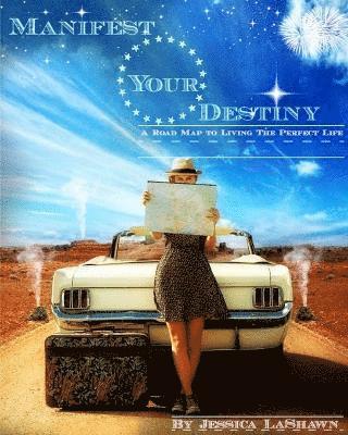 bokomslag Manifest Your Destiny