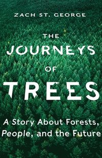 bokomslag Journeys of Trees