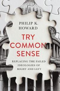 bokomslag Try Common Sense