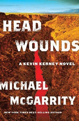 bokomslag Head Wounds