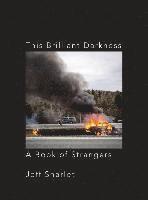 bokomslag This Brilliant Darkness - A Book Of Strangers