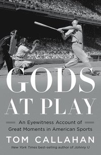 bokomslag Gods At Play - An Eyewitness Account Of Great Moments In American Sports